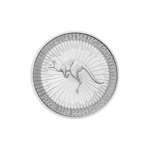 Australijski Kangur 2022 - 1 oz srebra 9999