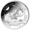 Słoń Somalijski 2023 - 1 oz - African Wildlife