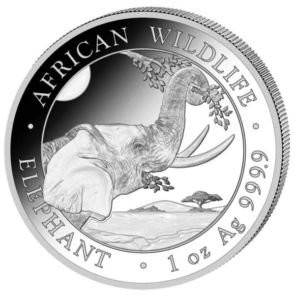 Słoń Somalijski 2023 - 1 oz - African Wildlife