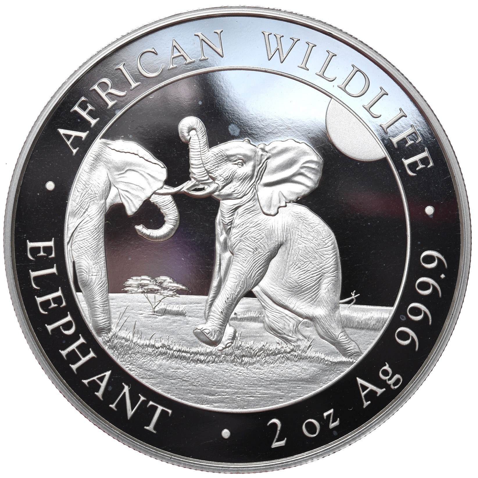 African Wildlife: Słoń Somalijski 2024 2 oz Srebro 9999 Srebrna Moneta Inwestycyjna
