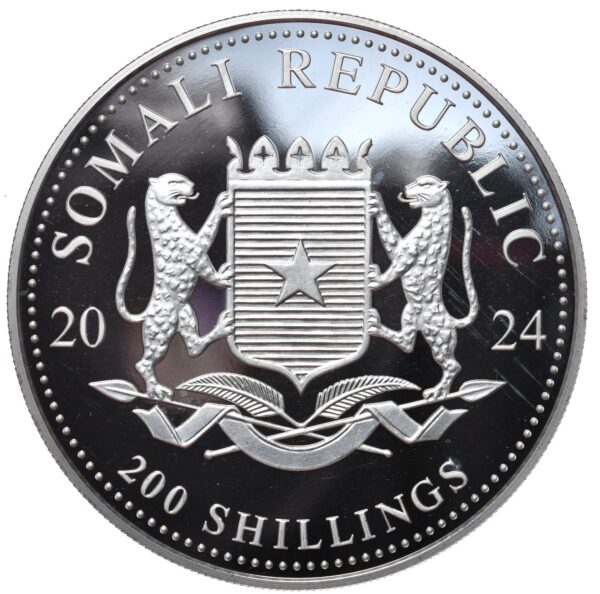 Słoń Somalijski 2024 - srebro 2 oz - African Wildlife