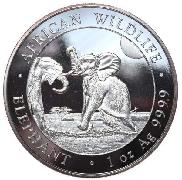 2773442_1b Słoń Somalijski 2024 - Ag 1 oz - African Wildlife