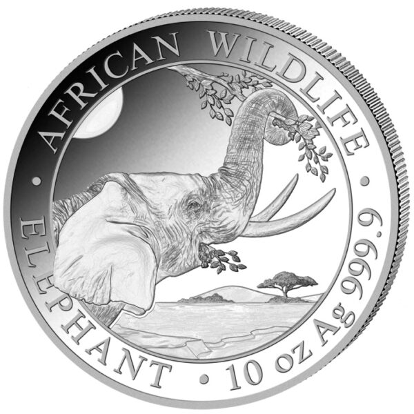 pol_pm_African-Wildlife-Slon-Somalijski-10-uncji-Srebra-2023-10319_2 Słoń Somalijski 10 oz - Ag 9999 (2023)