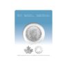 The-Majestic-Polar-Bear-1-uncja-srebra-2022-3 Majestic Polar Bear 2022 - 1 oz Ag9999